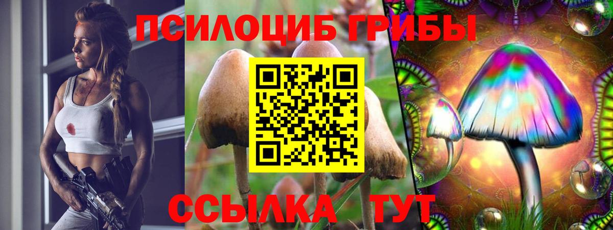 что такое наркотик  Псилоцибиновые грибы Magic Shrooms  Псилоцибиновые грибы Cubensis  Вход с VPN  Тихорецк 